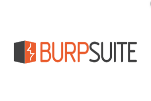 Burp Suite Professional Crack v2022.10.4 Plus License Key [2022]